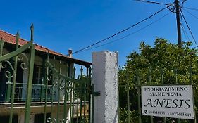 Anesis